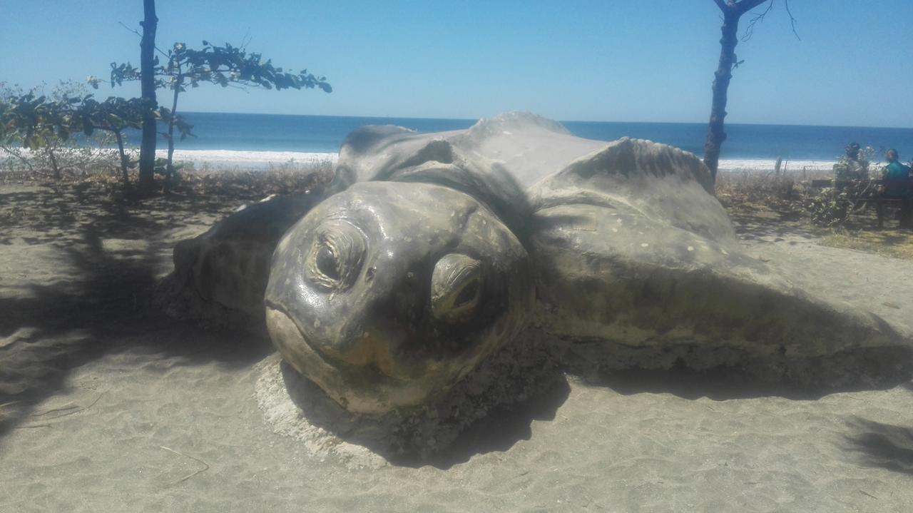 Las Cabinas De Veronique Venado Exteriör bild